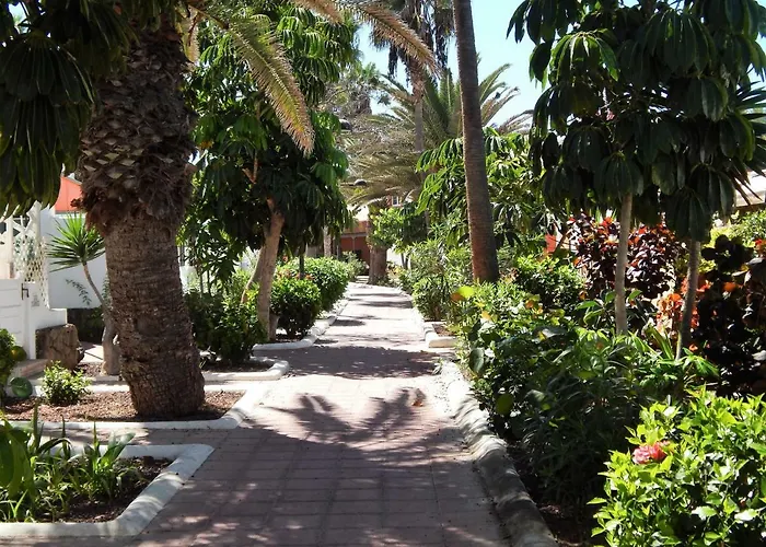 公寓 Beautiful Beachfront 美洲海滩